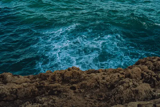 Photo by Alex Hoces